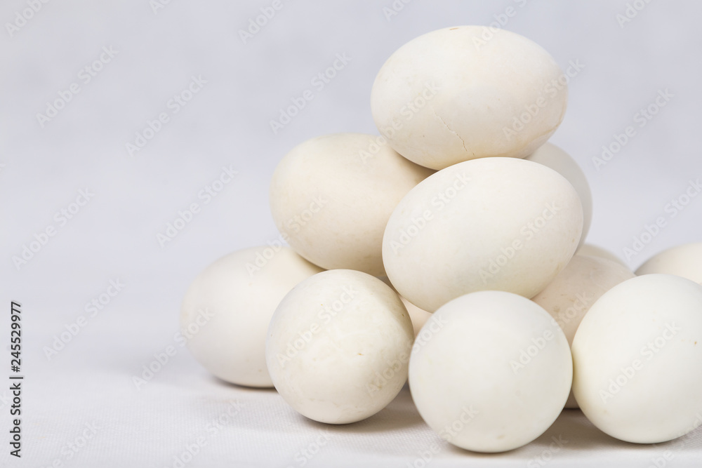 Duck egg on white background Duck egg on white background