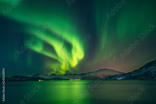 Magical boreal aurora illuminates the sky