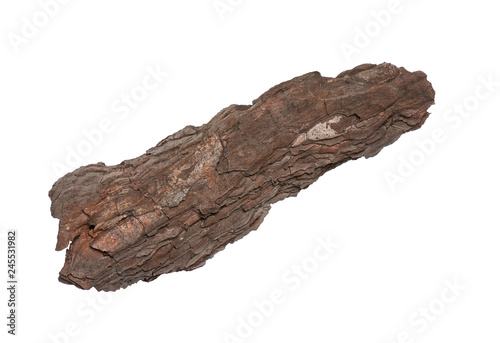 Piece of old tree bark, isolated on white background in studio