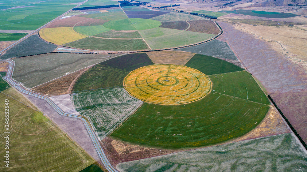 circle crop fields seen from above - obrazy, fototapety, plakaty 