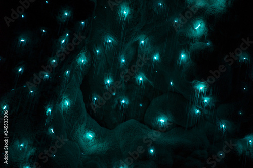 glowworms in waitomo