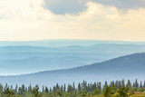 Forest landscape view with mist shadings in the valleys
