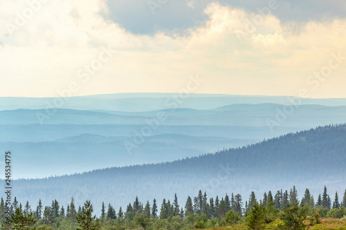 Forest landscape view with mist shadings in the valleys