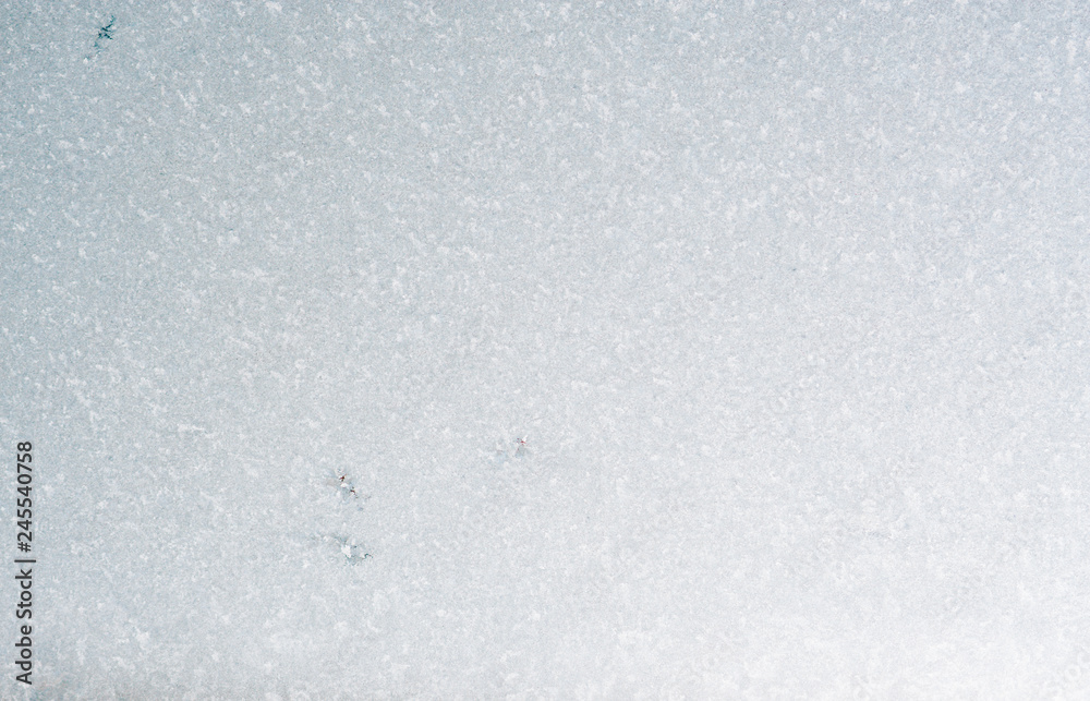 Fototapeta premium Beautiful winter ice, art texture on window, festive background