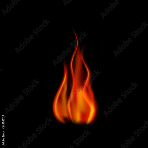 Realistic fire on a black background vector