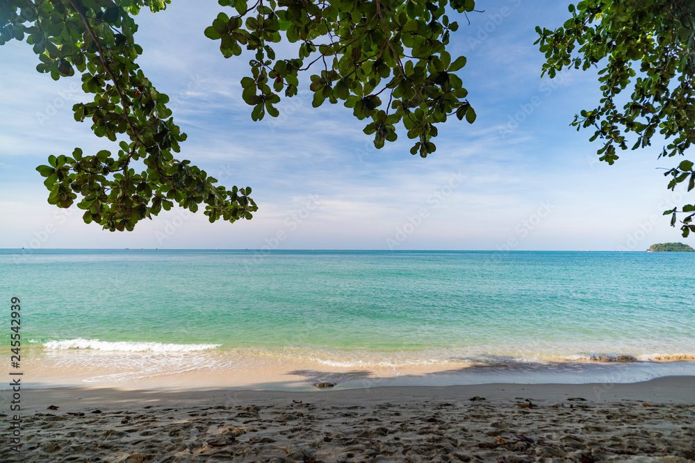Paradise Island Koh Chang, Lonely Beach, palm trees on the shore on a clear sunny day. Paradise Island Koh Chang, Lonely Beach, palm trees on the shore on a clear sunny day.