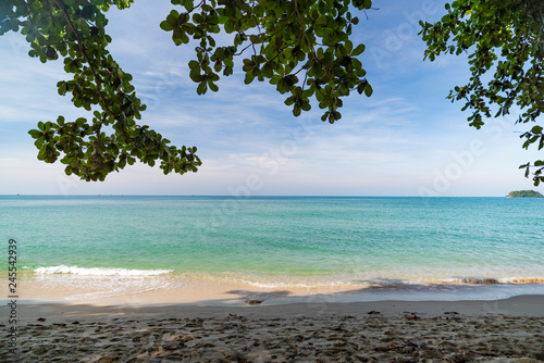 Fototapeta Naklejka Na Ścianę i Meble -  Paradise Island Koh Chang, Lonely Beach, palm trees on the shore on a clear sunny day.