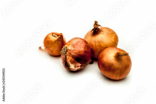 Close up of raw organic Onion vegetable isolated on white also known as pyaaj or pyaaz or Allium cepa. photo