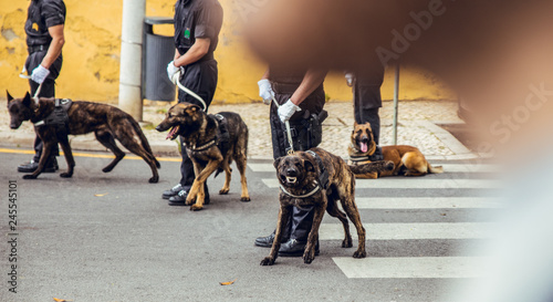 Police dog barking in parade of the armed forces in Lisbon, Portugal on May 9, 2018 at 12:30 p.m.