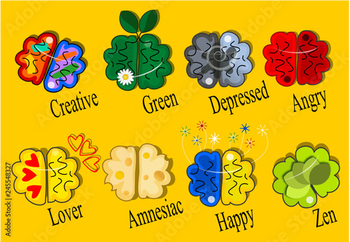 The emotions of the brain
