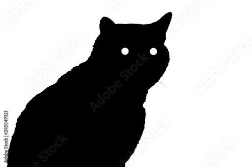 silhouette of a cat with eyes