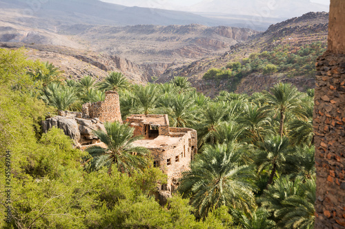 Detail of an old house in the village of Misfat al Abriyyin between date palms and the valley in the background photo