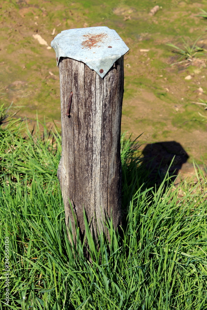 Wooden pole used for temporary sitting with metal cap on top nailed with rusted nails surrounded with high grass and small stream on warm sunny day Wooden pole used for temporary sitting with metal cap on top nailed with rusted nails surrounded with high grass and small stream on warm sunny day