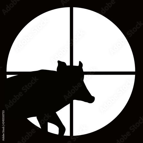 Boar at gunpoint - hunting