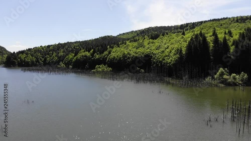 Aerial view of dead tree stumps in lake.  Cuejdel lake was born 30 years ago (a landfall on river Cuejdel) in Romania, Today is the biggest natural dam lake in Europe. photo