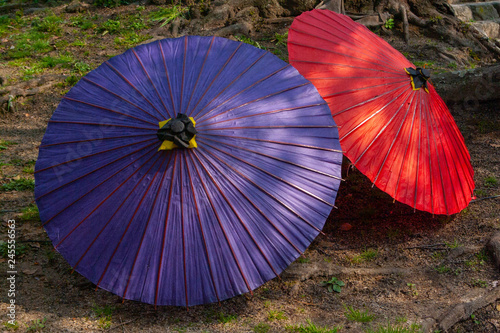 Japanese Traditional Oil-Paper Umbrellas 