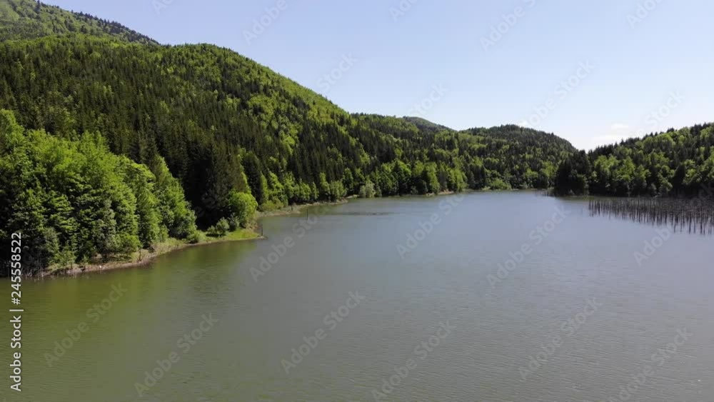 Flying above forest lake in the springtime. Cuejdel lake was born 30 years ago (a landfall on river Cuejdel) in Romania, Today is the biggest natural dam lake in Europe. Flying above forest lake in the springtime. Cuejdel lake was born 30 years ago (a landfall on river Cuejdel) in Romania, Today is the biggest natural dam lake in Europe.