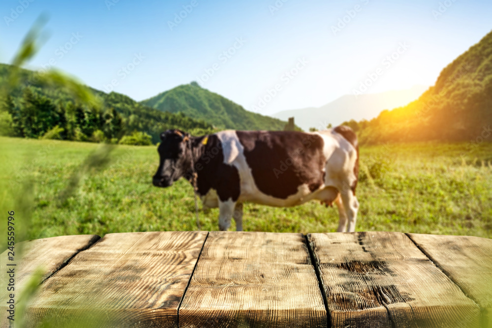 Naklejka premium Table background of free space and cow on grass 