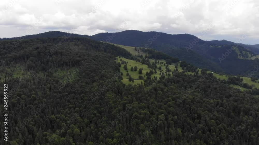 Mountain forest scene, view from above. Summer landscape in mountain pass, cloudy day Mountain forest scene, view from above. Summer landscape in mountain pass, cloudy day