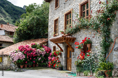 Casa de pueblo con flores