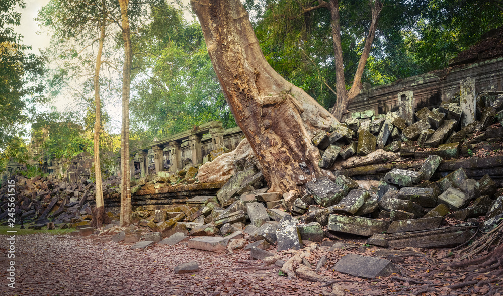 Beng Mealea or Bung Mealea temple. Siem Reap. Cambodia. Panorama Beng Mealea or Bung Mealea temple. Siem Reap. Cambodia. Panorama