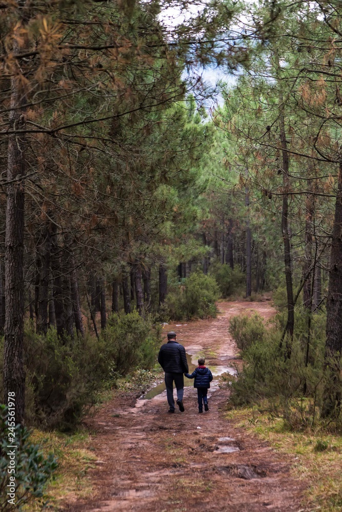 hiking in the woods