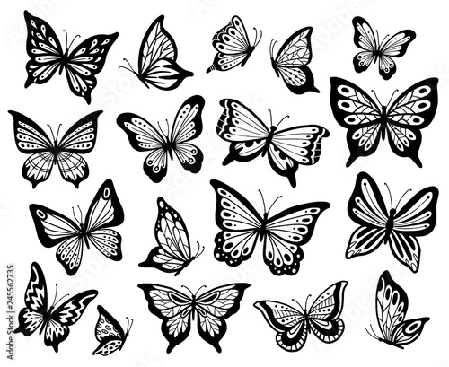 Drawing butterflies. Stencil butterfly, moth wings and flying insects isolated vector illustration set