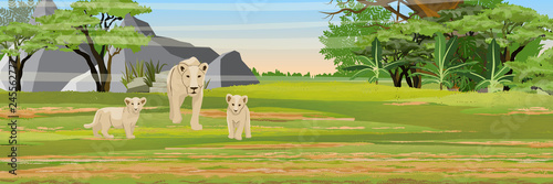 Canvas Print A lioness and her two cubs in the African savannah