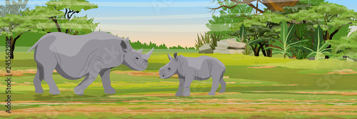 Family of African rhinos. Mother and her cub.Wild animals of Africa. African savannah. Bush. Jungle. Realistic vector landscape. © AnnstasAg