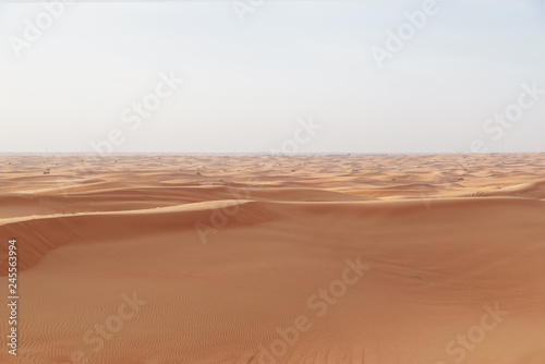 Camels in the heart of the Wadi Rum desert  Jordan