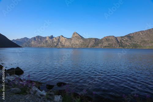 On a summer trip in Troms - Norway