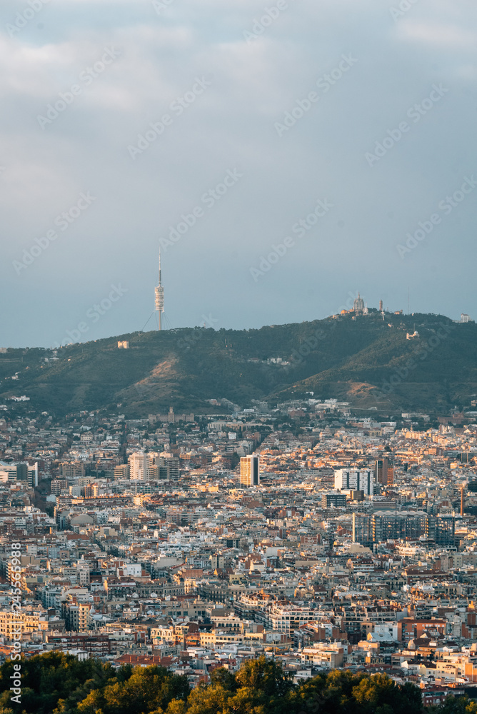 City and mountains cityscape view from Montjuïc Castle, in Barcelona, Spain