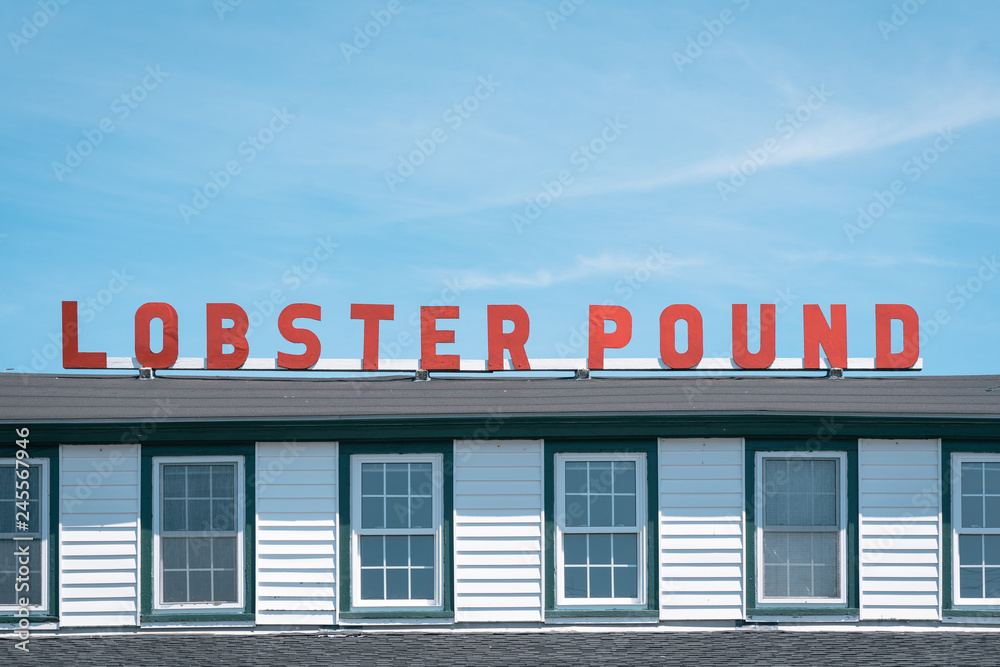 Lobster Pound, in Lincolnville, Maine