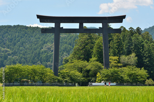 guard frame at the entrance to a Shinto shrine, rice field, blue sky - Kumano Hongu, Japan : 奉祝 記念行事12月迄斎行中-celebration is being held until December