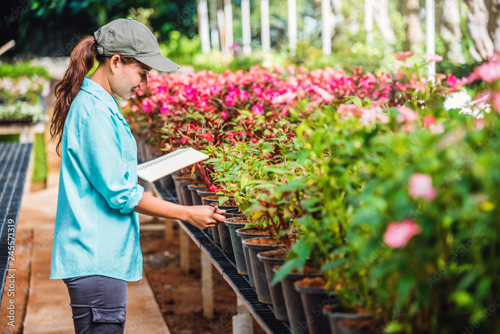 The girl are studying and Save the change of trees, flowers Beautiful (garden flower) background in nature farmers