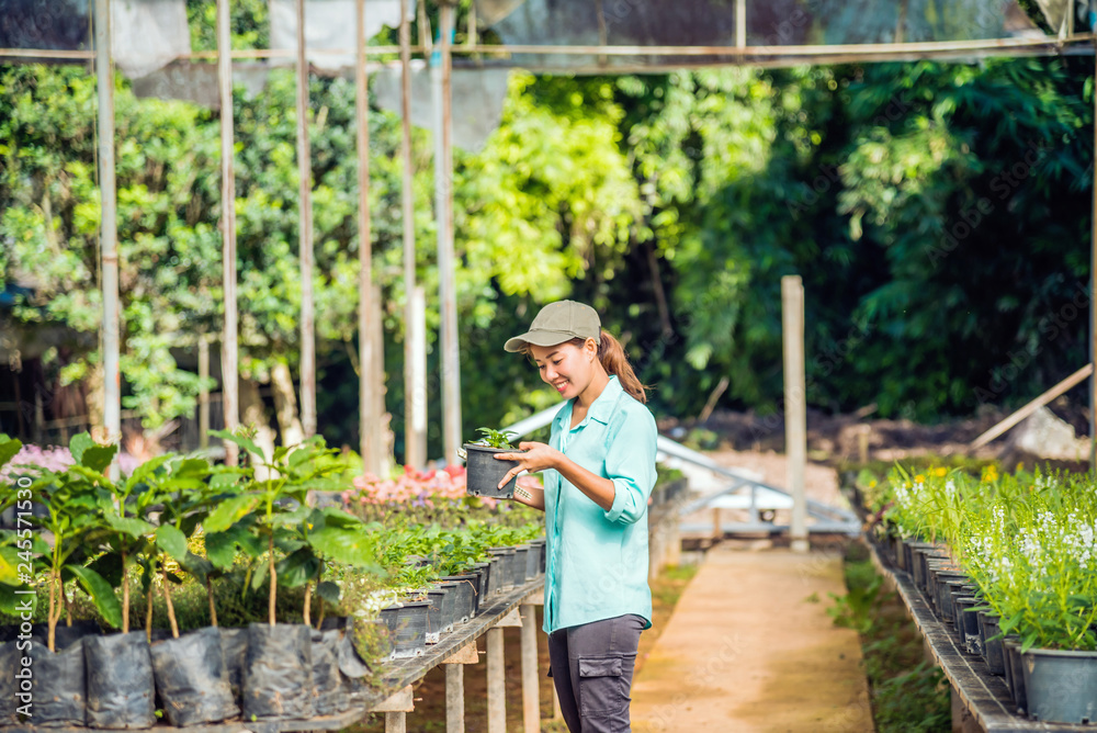 The girl are studying and Save the change of trees, flowers Beautiful (garden flower) background in nature farmers