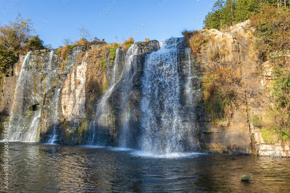 Fototapeta premium Forest Falls 21