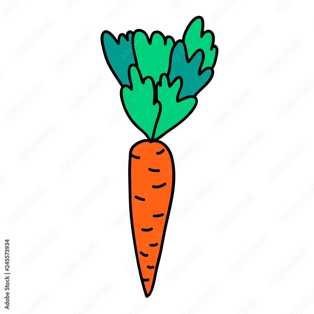Cartoon doodle linear carrot with leaves isolated on white background. Vector illustration. Cartoon doodle linear carrot with leaves isolated on white background. Vector illustration.