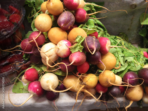 Close-up of different types of fresh harvested radishes in the market. Red, white and purple radish plant.