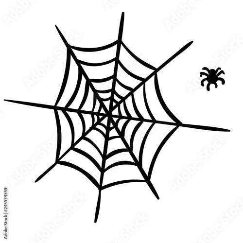 Doodle cobweb with spider isolated on white background. Vector illustration. 