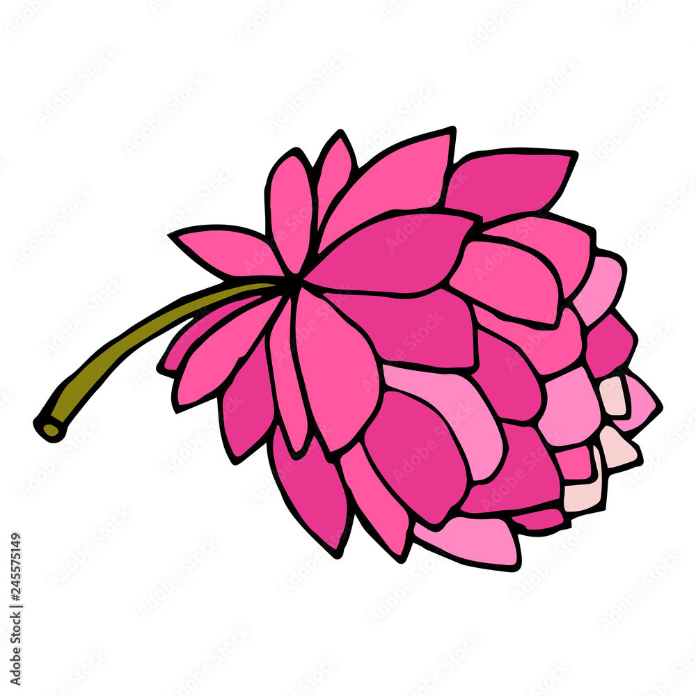 Cartoon doodle peony flower isolated on white background. Vector illustration.