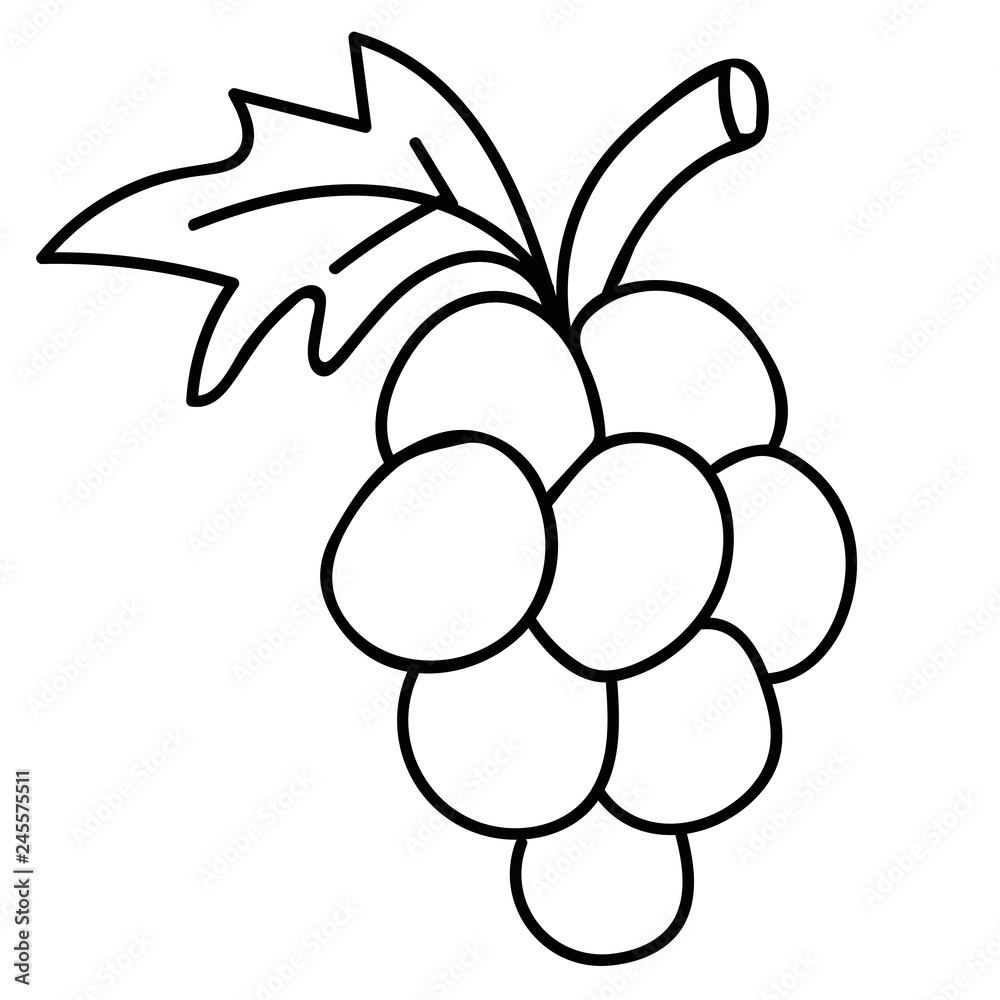 Cartoon doodle linear grapes isolated on white background. Vector  illustration. Stock Vector | Adobe Stock