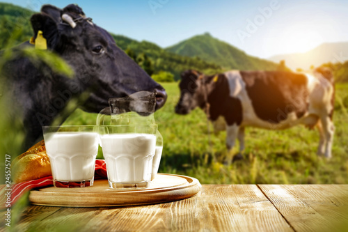 Fresh milk on wooden desk and spring landscape with cows and mountains 