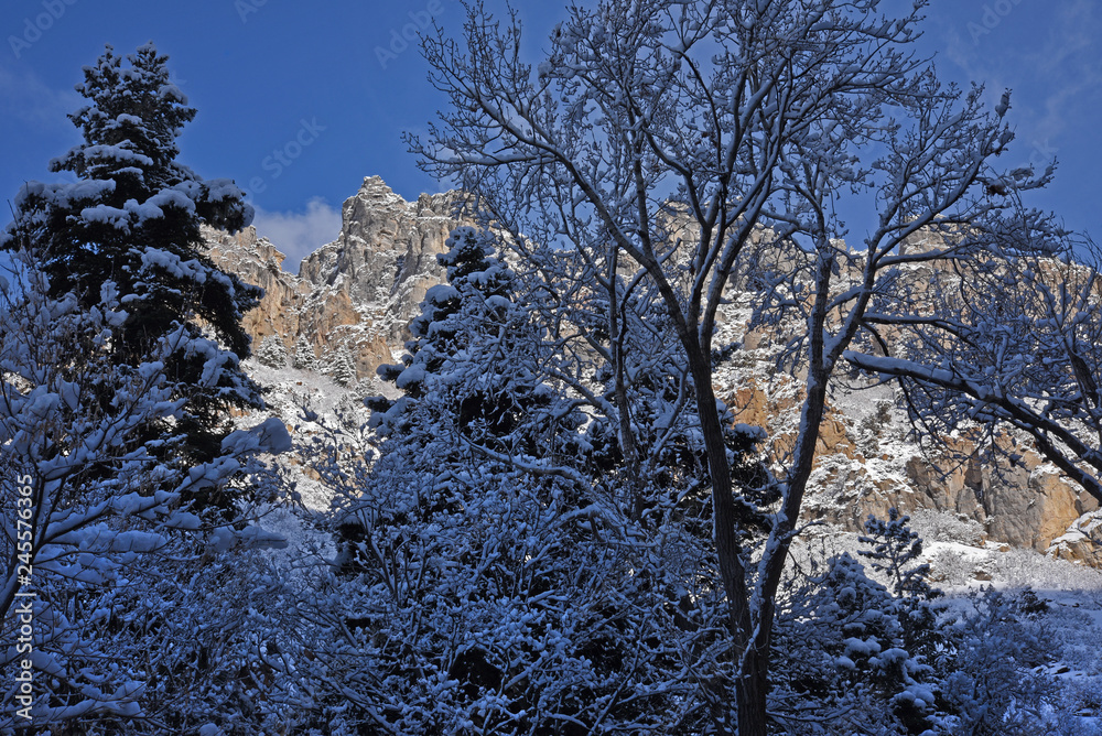 Snow Covered Mountains and Trees, Utah Snow Covered Mountains and Trees, Utah
