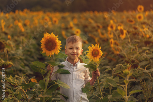 Portrait smiling child with sunflower in summer sunflower field on sunset. Kids happiness concept photo