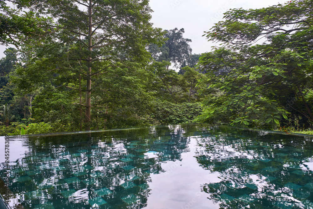 Beautiful swimming pool on background of tropical green trees outdoors