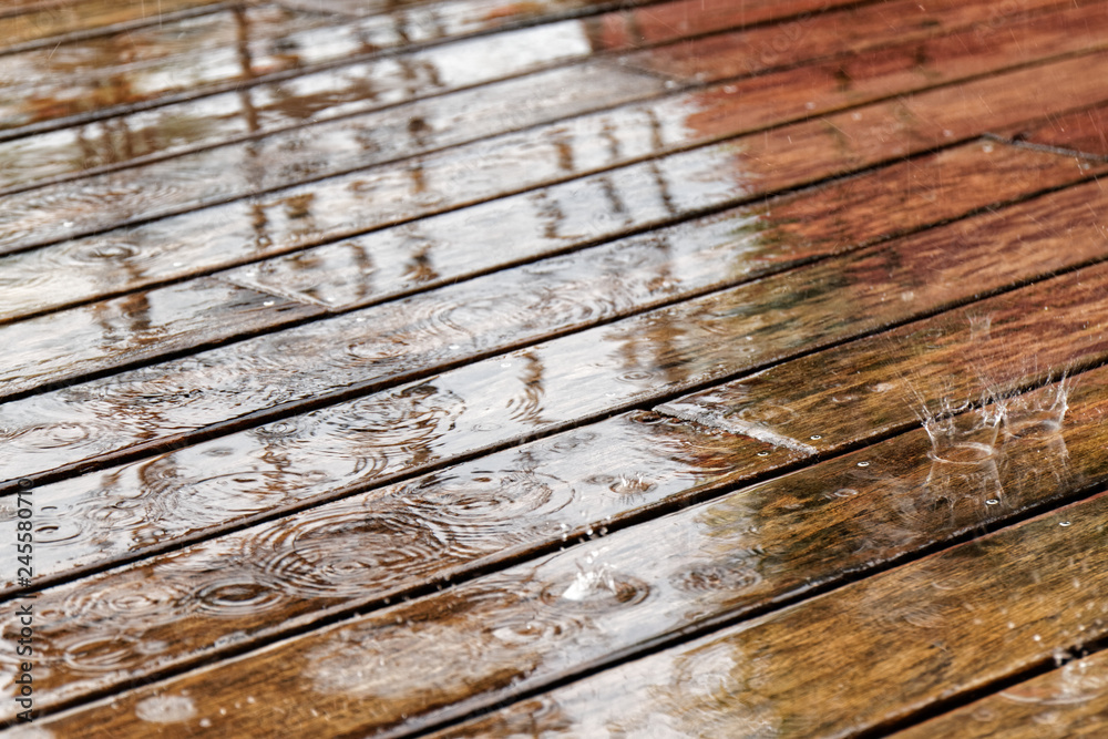 Fototapeta premium Raining on the deck - Martinique, FWI
