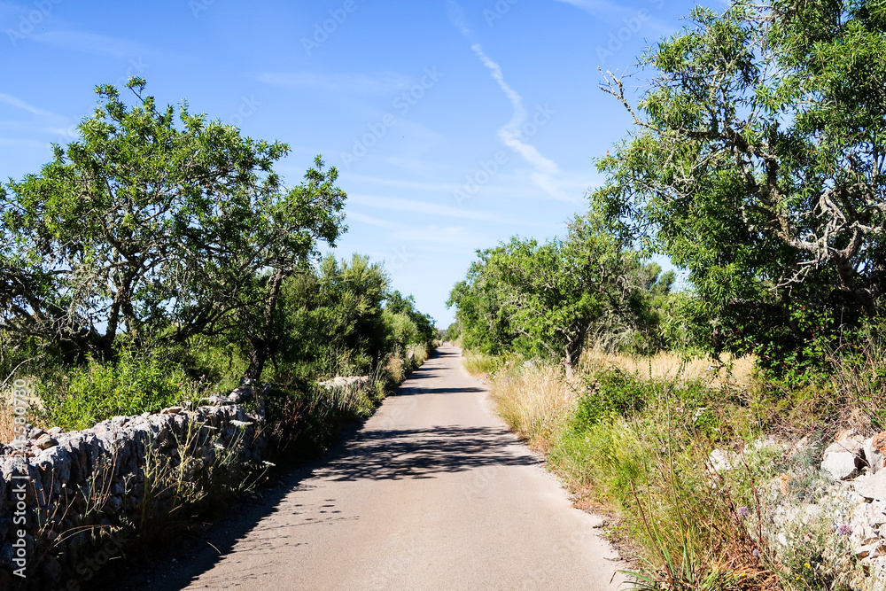 einfache Straße auf den Balearen im Hinterland