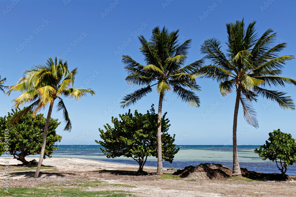 Beach of Pointe Faula - Le Vauclin, Martinique FWI