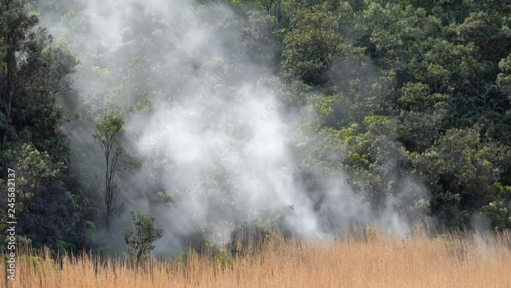 Steam vents of Kilauea crater on the Big Island. Hawaii, USA Steam vents of Kilauea crater on the Big Island. Hawaii, USA